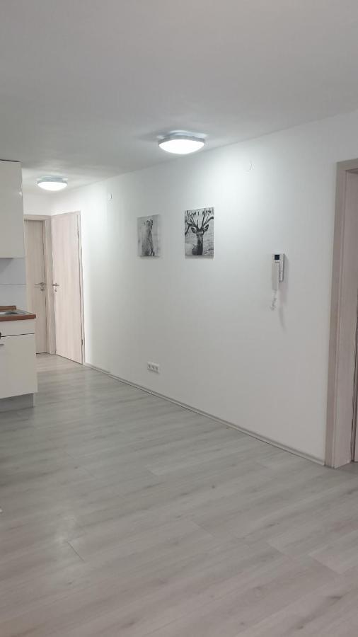 Komfortable Ferienwohnung Waghäusel Exterior foto